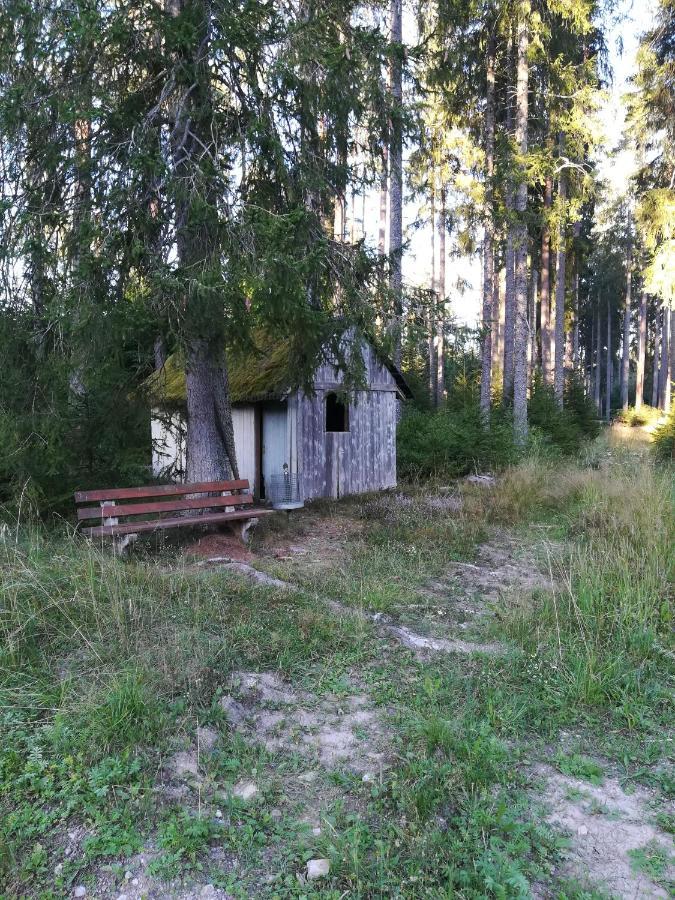 Ferienwohnung Hasenfratz Löffingen Kültér fotó