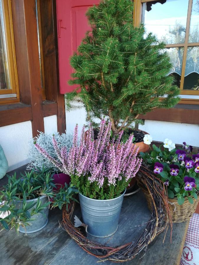 Ferienwohnung Hasenfratz Löffingen Kültér fotó