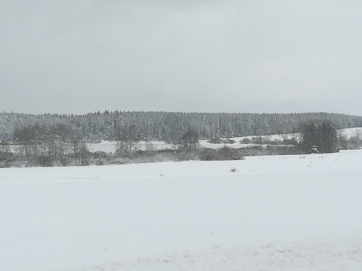 Ferienwohnung Hasenfratz Löffingen Kültér fotó